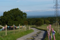 Rural Country Lanes